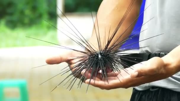 Seeigel an der Hand eines Tauchers aus Thailand. Taucher suchen nach Details und Bewegungen der Seeigel. — Stockvideo