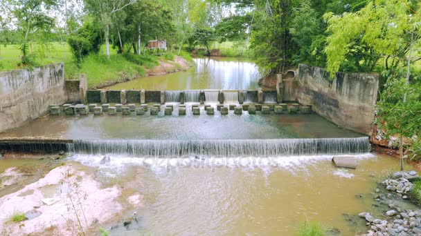 堰やダム、川の水の流れを遅く連続的な水移動シーン。タイの新鮮な緑豊かなエリアがあります。. — ストック動画