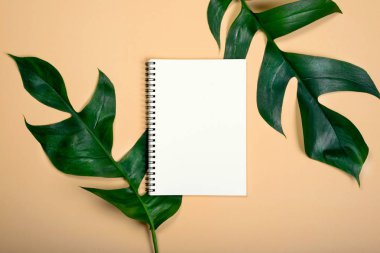 Sarı pastel renk arka plan üzerinde tasarım çalışma iki yaprak için düz yatıyordu boş kitap.