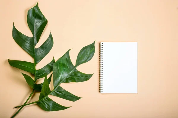 Flat lay libro vacío para el trabajo de diseño de dos hojas sobre fondo de color pastel amarillo . — Foto de Stock