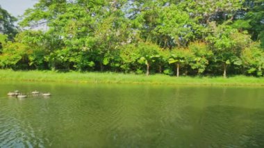 Park ve yeşil ağaçlarıyla yemyeşil eski köprü Nehri.