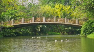 Park ve yeşil ağaçlarıyla yemyeşil eski köprü Nehri.