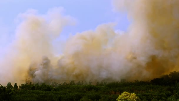En fait, la scène d'un grand feu et de fumée et très venteux. Ce qui est préjudiciable à la zone environnante dans un grand champ avec une petite ville et le feu est visible fumée noire sur la ville de Bangkok, Thaïlande
