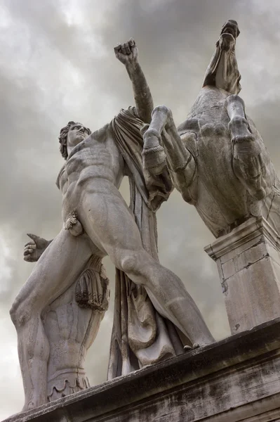 Statua Dioscuri a Roma — Foto Stock