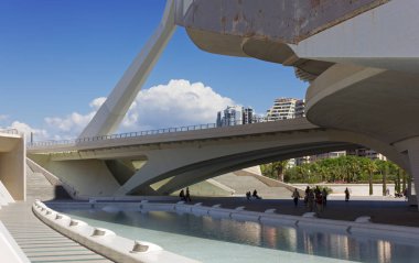 City of Arts and Sciences Valencia, mimari şekilleri