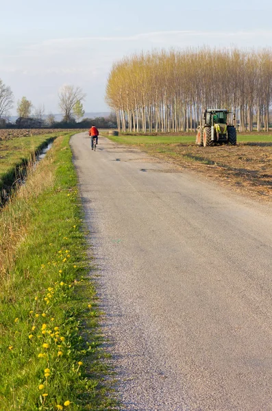 Arka planda bir bisikletçi olan ülke yol — Stok fotoğraf