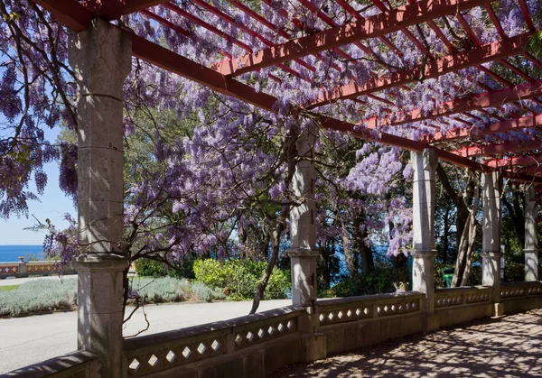 Colonnade in de tuin van het kasteelpark Miramare in Triëst — Stockfoto