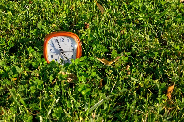 草のテクスチャの目覚まし時計 — ストック写真