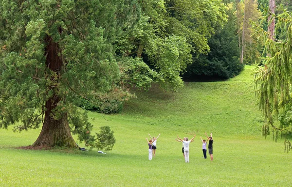 Exercice de groupe en plein air dans un parc — Photo