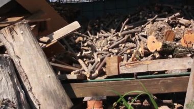 Farklı şekil ve boyutlarda odunlar ve dallarla dolu.
