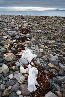 Arktik Okyanusu'nun ücra bir plajında plastik çöp