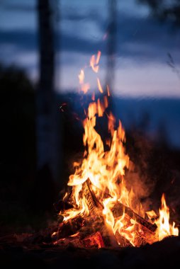 Ormandaki karanlık bir gecede yanan kamp ateşi.