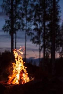 Ormandaki karanlık bir gecede yanan kamp ateşi.