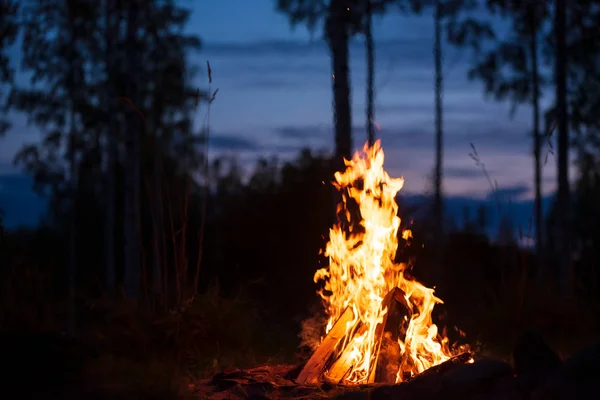 Burning campfire on a dark night in a forest — Stock Photo, Image