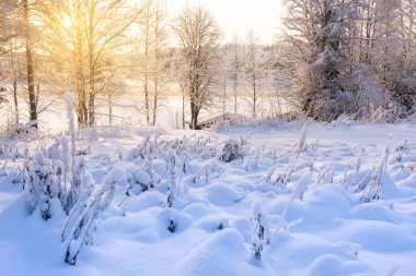 Nehir kenarındaki kar manzarası