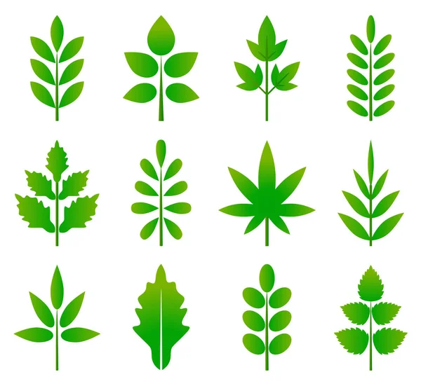 Green leaves icon — Stock Vector