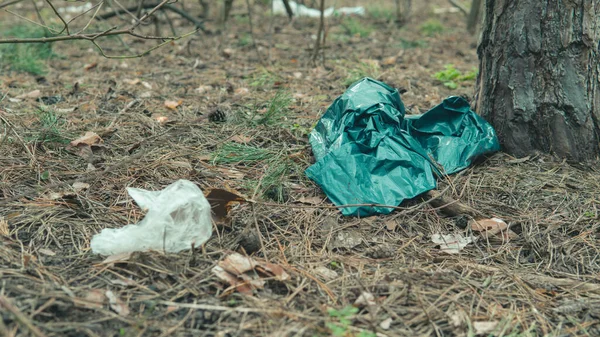 Cellophane bag on ground in forest. Concept of environmental pollution