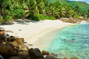 Seyşeller'de tropikal plaj, mahe'nin güneyinde, Petite marie louise körfezi