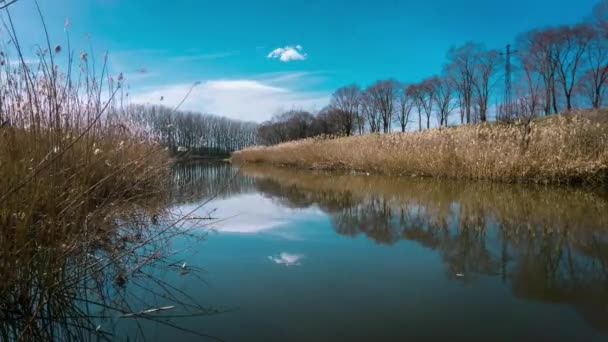 Timelapse Sur Une Rivière Par Une Journée Ensoleillée Nuageuse Point — Video