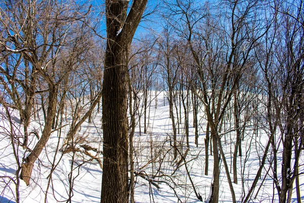 Bir nehir bir parkta güzel bir görünüm bir güneşli, soğuk günde — Stok fotoğraf