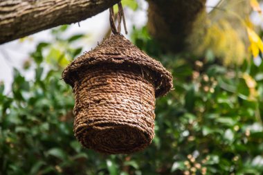 Bir küçük küçük bir ağaç dalına asılı treehouse dokuma