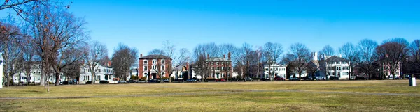 A row of houses next to a green park