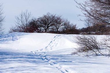 Ayak izleri bir yol bir parkın içinden