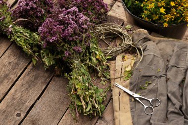 Şifalı bitkilerin kurutulması için hazırlık - kekik otu ve Hypericum. Alternatif tıp sağlığınız için iyidir. Doğal doğa ve köy tarzı. Sarı ve mor çiçekli bitkiler