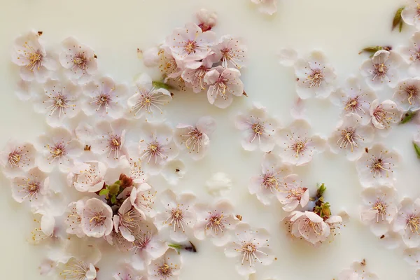 Рожеві Абрикосові Квіти Молочній Ванні Спа Тіло Догляд Шкірою Ароматні — стокове фото