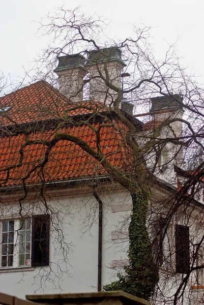 Våren i Prag, Tjeckien. — Stockfoto