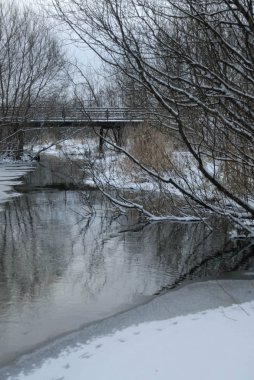 Kış manzarası. Çalılıkların arasında nehir.