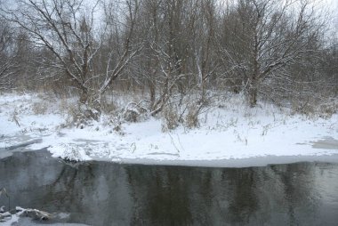 Kış manzarası. Çalılıkların arasında nehir.