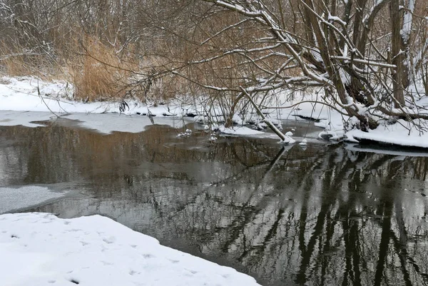 Winterlandschaft. Fluss mit zugefrorenen Ufern im Wald — Stockfoto