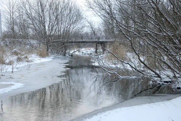 Winterlandschaft. der Fluss zwischen den Büschen. — Stockfoto