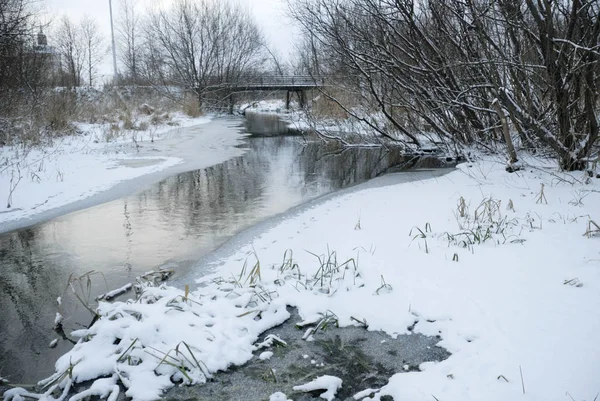 Winterlandschaft. der Fluss zwischen den Büschen. — Stockfoto