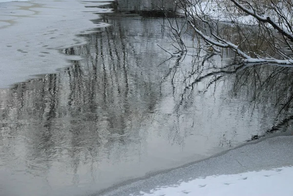 Paysage hivernal. La rivière parmi les buissons . — Photo