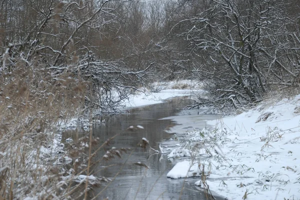 Winterlandschaft. der Fluss zwischen den Büschen. — Stockfoto