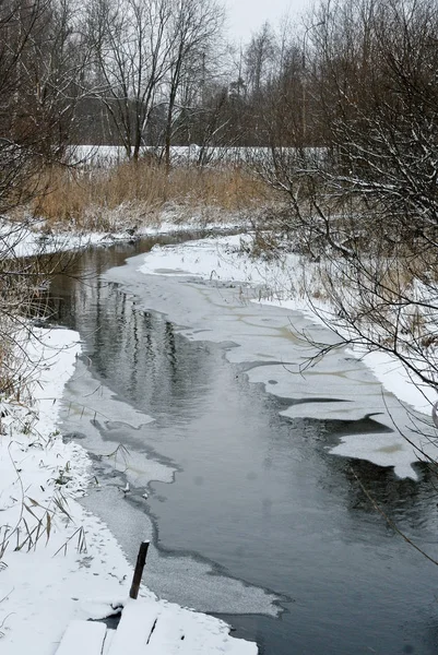 Winterlandschaft. Fluss mit zugefrorenen Ufern im Wald — Stockfoto