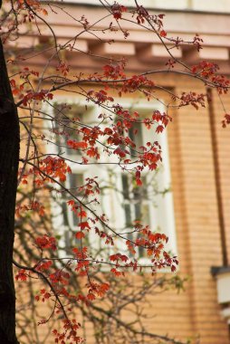 Bahar Prag, Çek Cumhuriyeti.