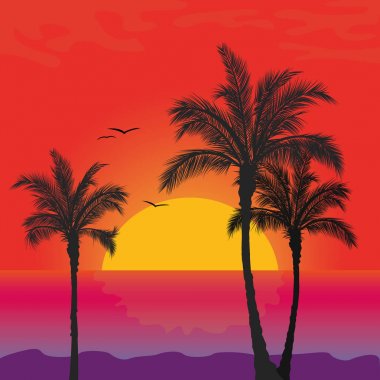 Beach palm ağacı tropikal yaz okyanus