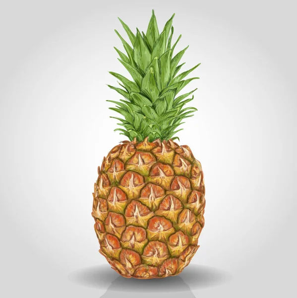 Ananas Jedzenie Owoców Tropikalnych Świeże Zdrowe Naturalne — Wektor stockowy
