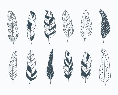 sanatsal vintage tüy çizim seti