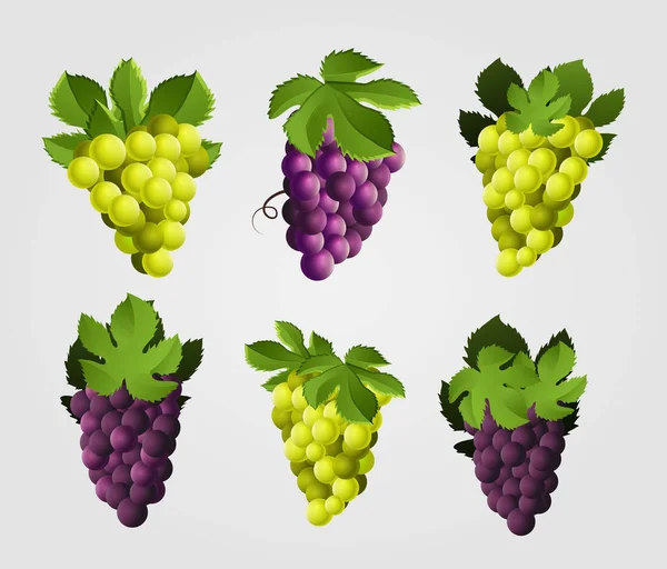 Жовтий Фіолетовий Виноградний Набір — стоковий вектор