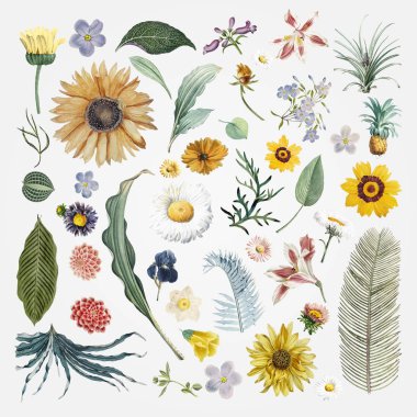 Çiçekler ve Doğa Sanatsal Seti