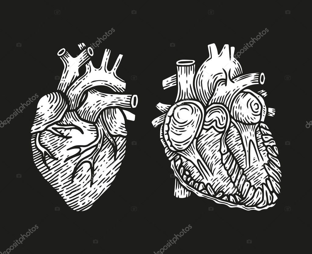 Medical and Human heart design