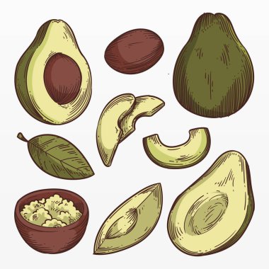 Ekolojik ve organik avokado seti