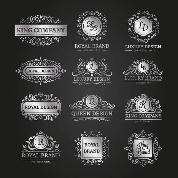 Variety Silver Frames Set — Stock Vector