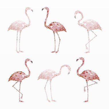 Pembe flamingo seti çeşitleri