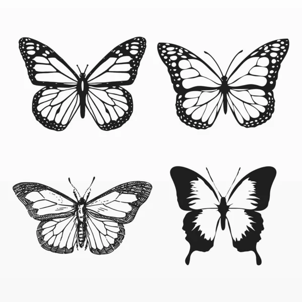 Varietà Set Silhouette Farfalla — Vettoriale Stock