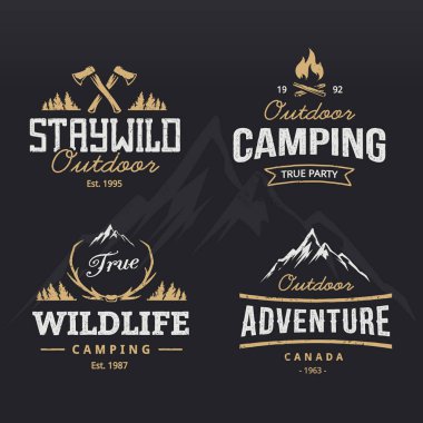 Camping and mountain emblem set